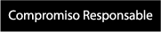 Responsible